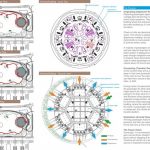 Caravanserai | Jonathan Meier - Sheet4