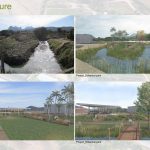 Floriculture | Scannella Architects - Sheet4