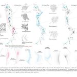 Phase Shifts Park | mosbach paysagistes - Sheet5