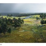 The Land Bridge & Prairie at Memorial Park | Nelson Byrd Woltz Landscape Architects - Sheet3