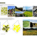 #Get Sunflowered | OUTR Research Lab - Sheet3