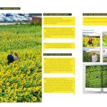 #Get Sunflowered | OUTR Research Lab - Sheet5