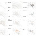 Meta(bio)lism | Tzu-JUNG Huang - Sheet2