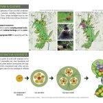 Zunyi Oasis | RTKL Associates Inc - Sheet2